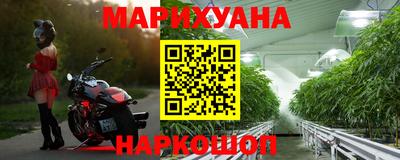 стаф Берёзовский