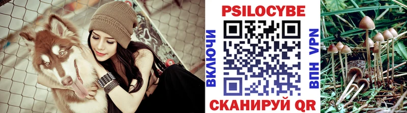 Галлюциногенные грибы ЛСД  как найти закладки  Ртищево 