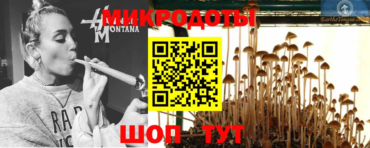 Галлюциногенные грибы Magic Shrooms  даркнет сайт  Галлюциногенные грибы Psilocybine cubensis  Ртищево 